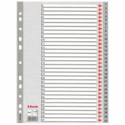 Esselte Plastic indexes Indice a linguetta numerico Polipropilene [PP] (Esselte register PP A4 1-31 grÃ¥)