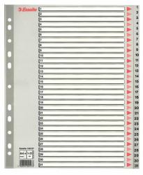 Esselte 100127 intercalare Indice a linguetta numerico Polipropilene [PP] Grigio (Esselte register PP A4 maxi 1-31 grÃ¥)