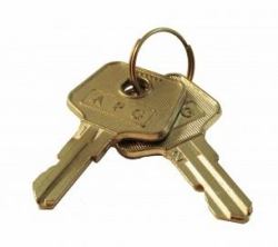 apg Solutions VPK-8K-243 armadietto portachiave Metallico (VASARIO KEY PARTS KIT [2] KEYS - [DENOTES KEY NUMBER 243])