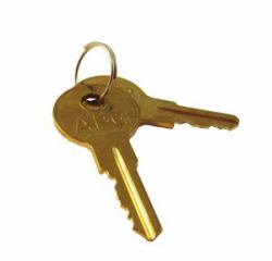 apg Solutions PK-8K-A9 armadietto portachiave Oro (PK-8K-A9 key - cabinet/organizer Gold - Warranty: 12M)