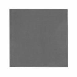 Thermal Grizzly Minus Pad extreme 2 Cuscinetto termico 